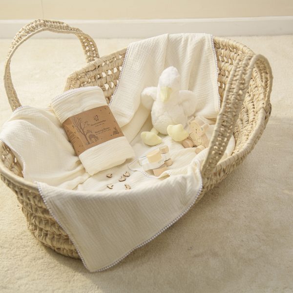 Receiving Blankets Blooms and Butterflies