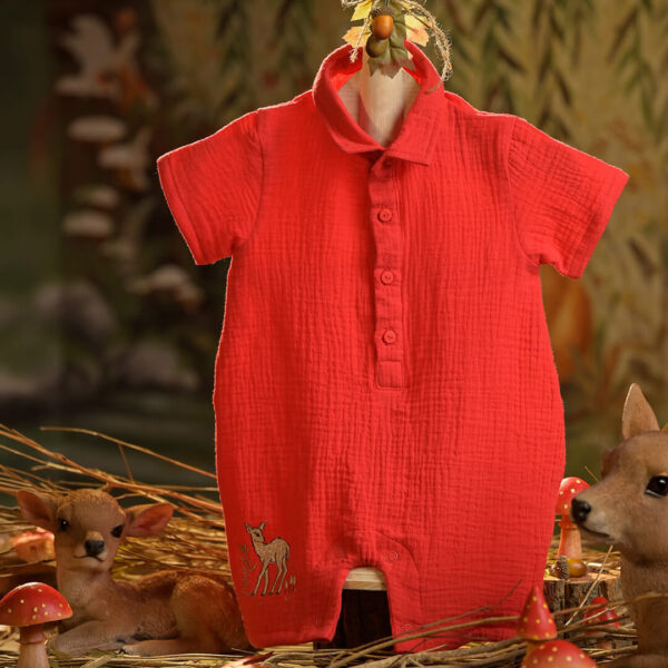 Woodland Fawn